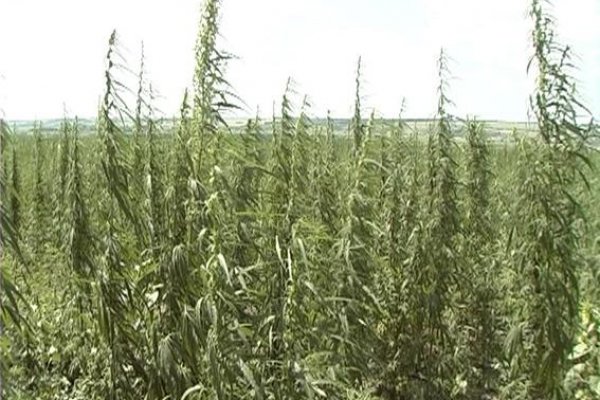 Кракен ссылка fo feng crmp ru