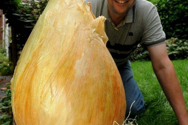 Наркотики заказать