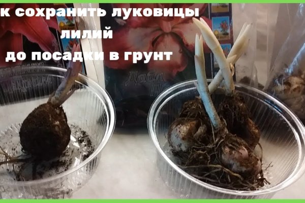 Маркетплейс кракен kraken darknet top