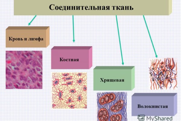 Через какой браузер заходить на кракен