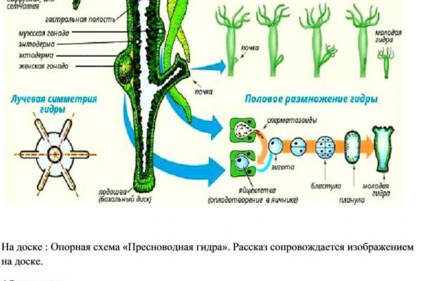 Кракен питер