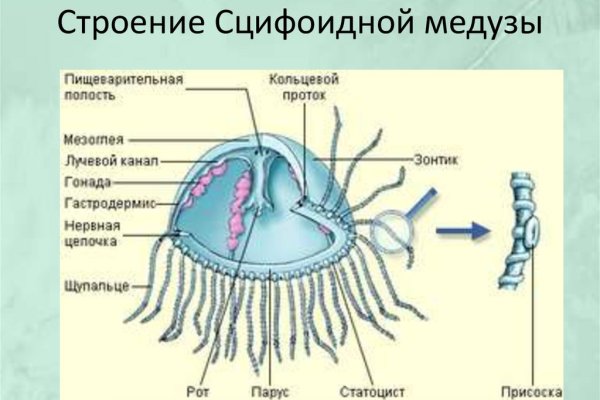 Кракен зеркало krk market com
